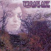 TERRAPLANE-Into the unknown