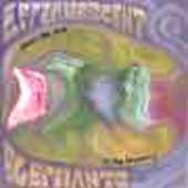 EFFERVESCENT ELEPHANTS-From the end to the beginning