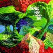 ASSEMBLE HEAD IN SUNBURST SOUND-When Sweet Sleep Returned