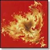 DJAM KARET-Recollection Harvest