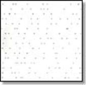 A FRAMES-333