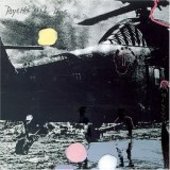 PSYCHIC ILLS-Dins