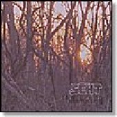 SEHT-The Green Morning