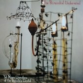 PRIMORDIAL UNDERMIND-Yet more wonders of the invisible world