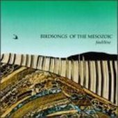 BIRDSONGS OF THE MESOZOIC-Faultline