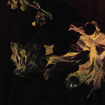 DEN DER HALE-Larking About (black)