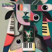 DR SPACE MAD ELF MESS-s/t