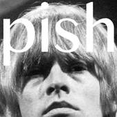 BRIAN JONESTOWN MASSACRE-Mini Album Thingy Wingy
