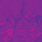 BARDO POND, ACID MOTHERS TEMPLE & GURU GURU-Acid Guru Pond