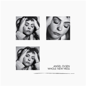 OLSEN, ANGEL-Whole New Mess