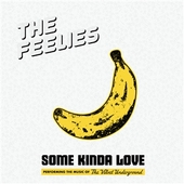 FEELIES-Some Kinda Love: The Music Of The Velvet Underground