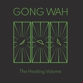 GONG WAH-The Healing Volume