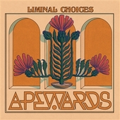 APEWARDS-Liminal Choices