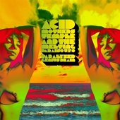 ACID MOTHERS TEMPLE & THE MELTING PARAISO U.F.O.-Paralyzed Genius Brain