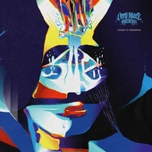DEEP SPACE DESTRUCTORS-Voyage To Innerspace (black)