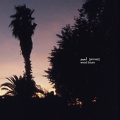 (AHMED)-Wood Blues