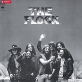 FLOCK-s/t