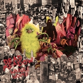 DEAD MEADOW-Warble Womb (black)