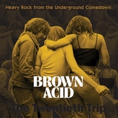 V/A-Brown Acid: The  Twentieth Trip