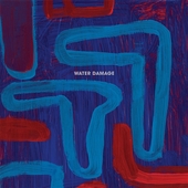 WATER DAMAGE-Instruments