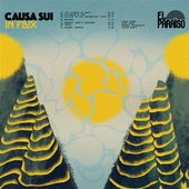 CAUSA SUI-In Flux