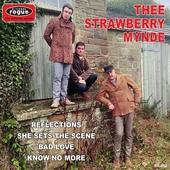 THEE STRAWBERRY MYNDE-Reflections
