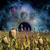 MORE EXPERIENCE-Horizons Of Events