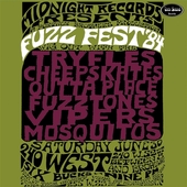 V/A-Fuzz Fest '84