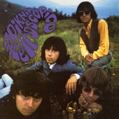 NEGATIVOS-Piknic Caleidoscopico