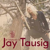 TAUSIG, JAY-An Introduction To....