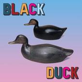 BLACK DUCK-s/t