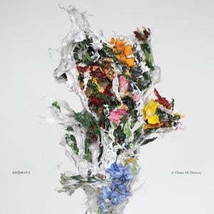 BIG/BRAVE-A Chaos Of Flowers