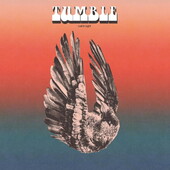TUMBLE-Lost In Light