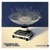 SOUNDS OF NEW SOMA-Fluxus 2071