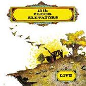 13TH FLOOR ELEVATORS-Live