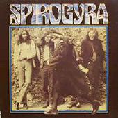 SPIROGYRA-St. Radigunds