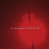 PRIMORDIAL UNDERMIND-Last Wordly Bond