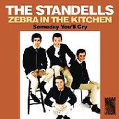 STANDELLS-Zebra In The Kitchen/Someday You'll Cry