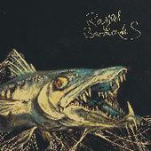 RAGGED BARRACUDAS-Ragger Barracudas