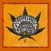 BJORK, BRANT & THE LOW DESERT PUNK BAND-Black Power Flower
