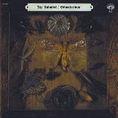JOY UNLIMITED-Schmetterlinge
