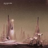 SULA BASSANA-Shipwrecked