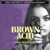 V/A-Brown Acid: The Third Trip