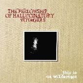 FELLOWSHIP OF HALLUCINATORY VOYAGERS-This Is No Wilderness (black)