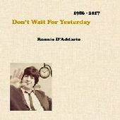 D'ADDARIO, RONNIE-Don't Wait For Yesterday 1986-2007