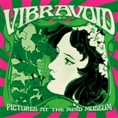 VIBRAVOID-Pictures At The Mind Museum