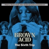 V/A-Brown Acid: The Sixth Trip