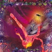 ACID MOTHERS TEMPLE & THE MELTING PARAISO U.F.O.-Sacred And Inviolable Phase Shift