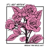 WORKIN' MAN NOISE UNIT-It's Not Nothin'