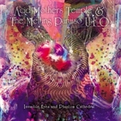 ACID MOTHERS TEMPLE & THE MELTING PARAISO U.F.O.-Invisible Eyes And Phantom Cathedral (clear)